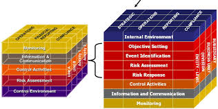 03.01.01_Schema 2-1-1 COSO en ERM